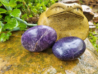 Polished Lepidolite Free Forms x 6 From Zimbabwe