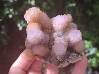 Natural Ametrine Spirit Quartz Clusters x 6 From Boekenhouthoek, South Africa