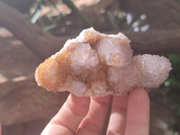 Natural Ametrine Spirit Quartz Clusters x 6 From Boekenhouthoek, South Africa