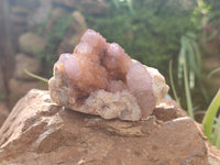 Natural Ametrine Spirit Quartz Clusters x 6 From Boekenhouthoek, South Africa