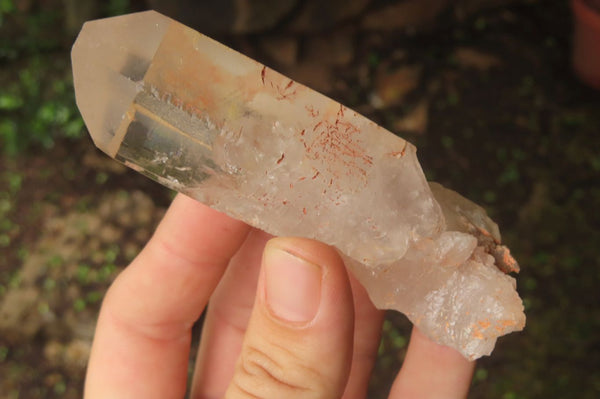 Natural Quartz Crystals x 6 From Mpika, Zambia