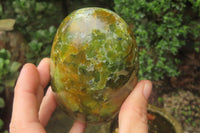 Polished Green Opal Standing Free Forms x 3 From Antsirabe, Madagascar