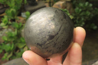 Polished Pharaoh Stone Spheres x 3  From Zimbabwe