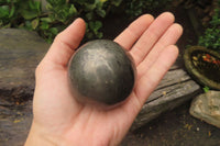 Polished Pharaoh Stone Spheres x 3  From Zimbabwe