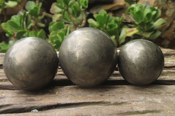 Polished Pharaoh Stone Spheres x 3  From Zimbabwe