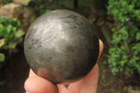 Polished Pharaoh Stone Spheres x 3  From Zimbabwe