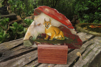 Hand Made Caracal Decoupage Stone Slabs x 6 From Southern Africa