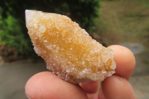 Natural Spirit Quartz Crystals x 24 From Boekenhouthoek, South Africa