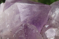 Natural Jacaranda Amethyst Quartz Clusters x 2 from Mumbwa, Zambia