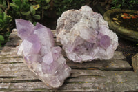 Natural Jacaranda Amethyst Quartz Clusters x 2 from Mumbwa, Zambia