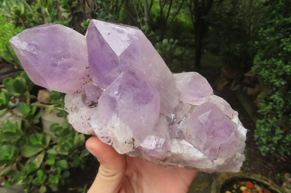 Natural Jacaranda Amethyst Quartz Clusters x 2 from Mumbwa, Zambia