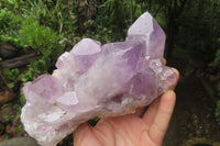 Natural Jacaranda Amethyst Quartz Clusters x 2 from Mumbwa, Zambia