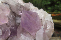 Natural Jacaranda Amethyst Quartz Clusters x 2 from Mumbwa, Zambia