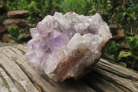 Natural Jacaranda Amethyst Quartz Clusters x 2 from Mumbwa, Zambia