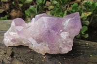 Natural Jacaranda Amethyst Quartz Clusters x 2 from Mumbwa, Zambia