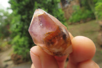 Natural Zululand Amethyst Crystals x 20 From South Africa