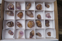 Natural Zululand Amethyst Crystals x 20 From South Africa