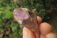 Natural Zululand Amethyst Crystals x 20 From South Africa