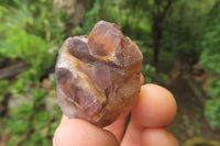 Natural Zululand Amethyst Crystals x 20 From South Africa