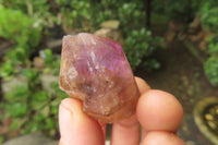 Natural Zululand Amethyst Crystals x 20 From South Africa