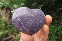 Polished Lepidolite with Pink Rubellite Gemstone Hearts x 6 From Ambatondrazaka, Madagascar