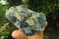 Natural Watermelon Fluorite Cobbed Specimens x 5 From Uis, Namibia