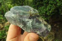 Natural Watermelon Fluorite Cobbed Specimens x 5 From Uis, Namibia