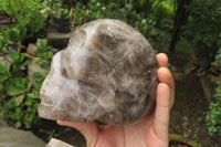 Hand Made Smokey Quartz Skull Carving x 1 From Madagascar