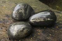 Polished Pharaoh Stone Free Forms x 6 From Zimbabwe