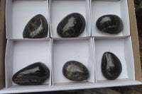 Polished Pharaoh Stone Free Forms x 6 From Zimbabwe