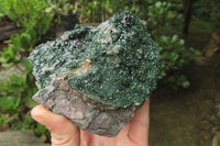 Natural Libethenite Crystals On Dolomite Matrix Specimen x 1 From Shituru, Congo