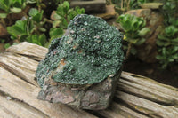 Natural Libethenite Crystals On Dolomite Matrix Specimen x 1 From Shituru, Congo