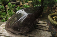 Polished Smokey Window Quartz Crystal x 1 From Madagascar