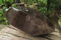 Polished Smokey Window Quartz Crystal x 1 From Madagascar