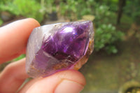 Natural Zululand Amethyst Crystals x 12 From South Africa