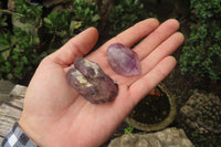 Natural Zululand Amethyst Crystals x 12 From South Africa