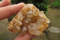 Natural Limonite Quartz Clusters x 35 From Solwezi, Zambia