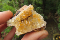 Natural Limonite Quartz Clusters x 35 From Solwezi, Zambia