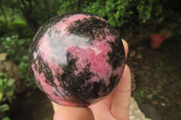 Polished Rhodonite Spheres x 3 From Ambindavato, Madagascar