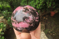 Polished Rhodonite Spheres x 3 From Ambindavato, Madagascar