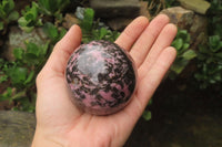 Polished Rhodonite Spheres x 3 From Ambindavato, Madagascar