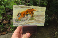 Hand Made Tiger Decoupage Stone Slabs x 6 From Southern Africa