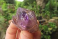 Natural Zululand Amethyst Crystals x 20 From South Africa