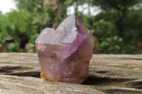 Natural Zululand Amethyst Crystals x 20 From South Africa