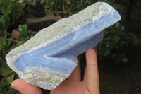 Natural Blue Lace Agate Geode Specimens x 2 From Malawi