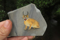 Hand Made Caracal Decoupage Stone Slabs x 6 From Southern Africa