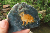 Hand Made Caracal Decoupage Stone Slabs x 6 From Southern Africa