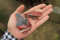 Natural Bloodstone Cobbed Specimens x 36 From Swaziland