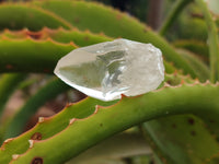 Natural Quartz Crystals x 35 from Mpika, Zambia