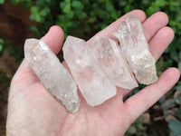 Natural Quartz Crystals x 35 from Mpika, Zambia